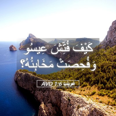 Picture 05 - عُوبَدْيَا 1:6 AVD - كَيْفَ فُتِّشَ عِيسُو - Bible Verse Picture