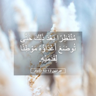 Picture 05 - عِبرانِيّين 10:13 AVD - مُنْتَظِرًا بَعْدَ ذَلِكَ - Bible Verse Picture
