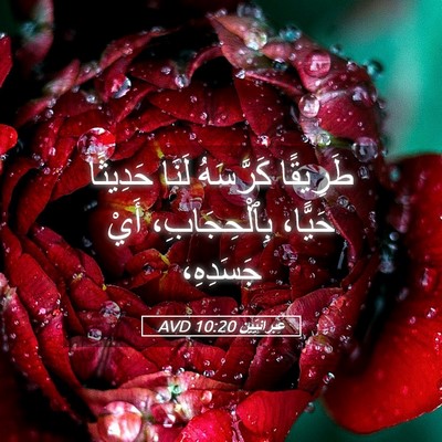 Picture 05 - عِبرانِيّين 10:20 AVD - طَرِيقًا كَرَّسَهُ لَنَا - Bible Verse Picture