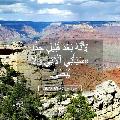 Picture 05 - عِبرانِيّين 10:37 AVD - لِأَنَّهُ بَعْدَ قَلِيلٍ - Bible Verse Picture