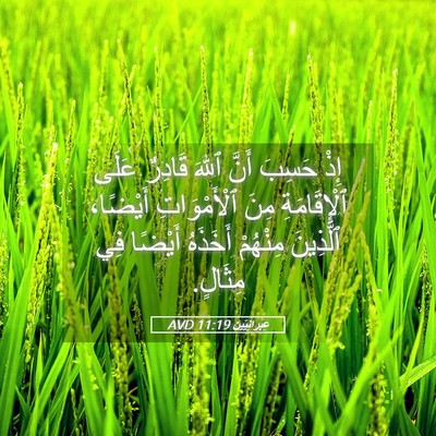 Picture 05 - عِبرانِيّين 11:19 AVD - إِذْ حَسِبَ أَنَّ ٱللهَ - Bible Verse Picture