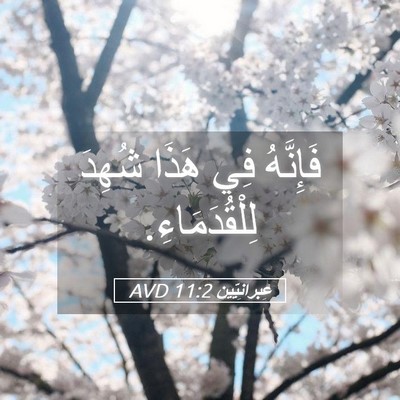 Picture 05 - عِبرانِيّين 11:2 AVD - فَإِنَّهُ فِي هَذَا شُهِدَ - Bible Verse Picture