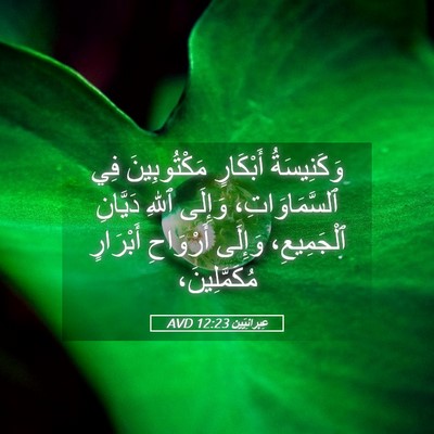 Picture 05 - عِبرانِيّين 12:23 AVD - وَكَنِيسَةُ أَبْكَارٍ - Bible Verse Picture