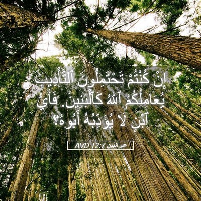Picture 05 - عِبرانِيّين 12:7 AVD - إِنْ كُنْتُمْ - Bible Verse Picture