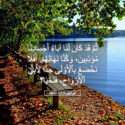 Picture 05 - عِبرانِيّين 12:9 AVD - ثُمَّ قَدْ كَانَ لَنَا - Bible Verse Picture
