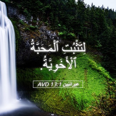 Picture 05 - عِبرانِيّين 13:1 AVD - لِتَثْبُتِ ٱلْمَحَبَّةُ - Bible Verse Picture