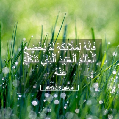 Picture 05 - عِبرانِيّين 2:5 AVD - فَإِنَّهُ لِمَلَائِكَةٍ - Bible Verse Picture
