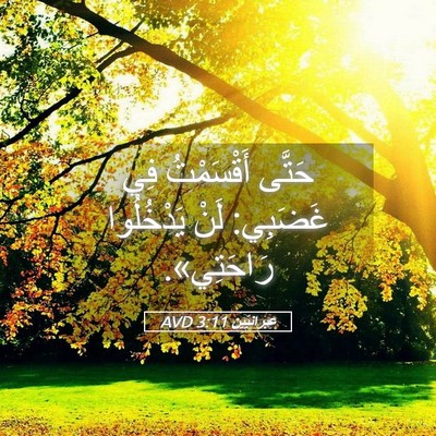 Picture 05 - عِبرانِيّين 3:11 AVD - حَتَّى أَقْسَمْتُ فِي - Bible Verse Picture