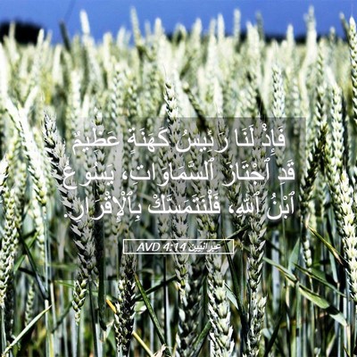 Picture 05 - عِبرانِيّين 4:14 AVD - فَإِذْ لَنَا رَئِيسُ - Bible Verse Picture