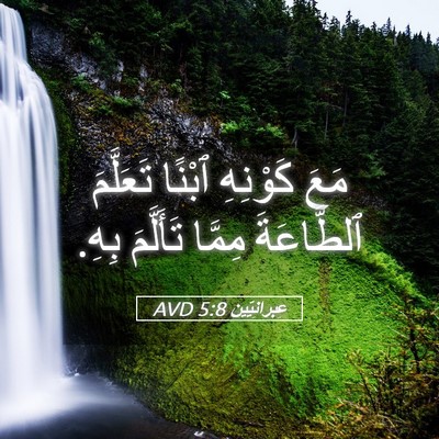 Picture 05 - عِبرانِيّين 5:8 AVD - مَعَ كَوْنِهِ ٱبْنًا - Bible Verse Picture