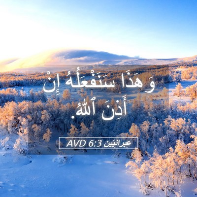 Picture 05 - عِبرانِيّين 6:3 AVD - وَهَذَا سَنَفْعَلُهُ إِنْ - Bible Verse Picture