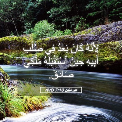 Picture 05 - عِبرانِيّين 7:10 AVD - لِأَنَّهُ كَانَ بَعْدُ فِي - Bible Verse Picture