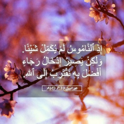 Picture 05 - عِبرانِيّين 7:19 AVD - إِذِ ٱلنَّامُوسُ لَمْ - Bible Verse Picture