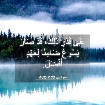 Picture 05 - عِبرانِيّين 7:22 AVD - عَلَى قَدْرِ ذَلِكَ، قَدْ - Bible Verse Picture