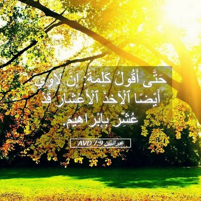 Picture 05 - عِبرانِيّين 7:9 AVD - حَتَّى أَقُولُ كَلِمَةً: - Bible Verse Picture