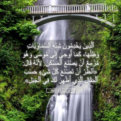 Picture 05 - عِبرانِيّين 8:5 AVD - ٱلَّذِينَ يَخْدِمُونَ - Bible Verse Picture