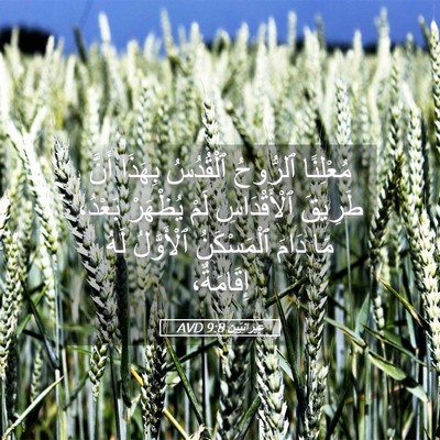 Picture 05 - عِبرانِيّين 9:8 AVD - مُعْلِنًا ٱلرُّوحُ - Bible Verse Picture