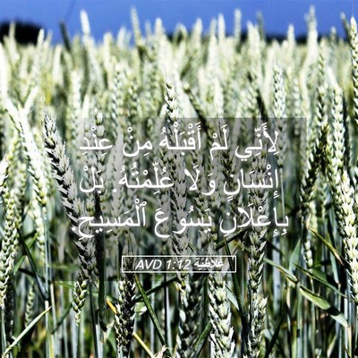 Picture 05 - غَلاطِيَّة 1:12 AVD - لِأَنِّي لَمْ أَقْبَلْهُ - Bible Verse Picture