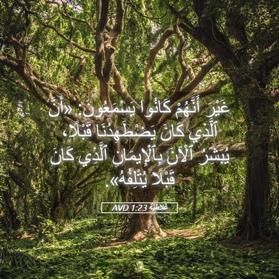 Picture 05 - غَلاطِيَّة 1:23 AVD - غَيْرَ أَنَّهُمْ كَانُوا - Bible Verse Picture