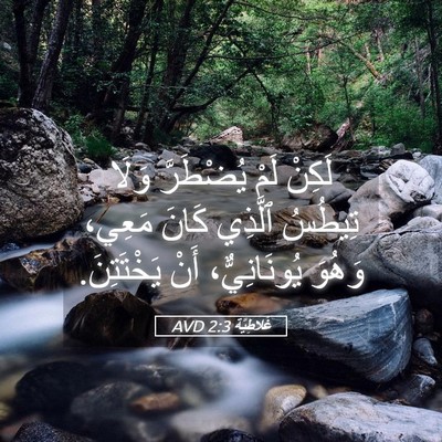 Picture 05 - غَلاطِيَّة 2:3 AVD - لَكِنْ لَمْ يُضْطَرَّ - Bible Verse Picture