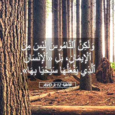 Picture 05 - غَلاطِيَّة 3:12 AVD - وَلَكِنَّ ٱلنَّامُوسَ - Bible Verse Picture