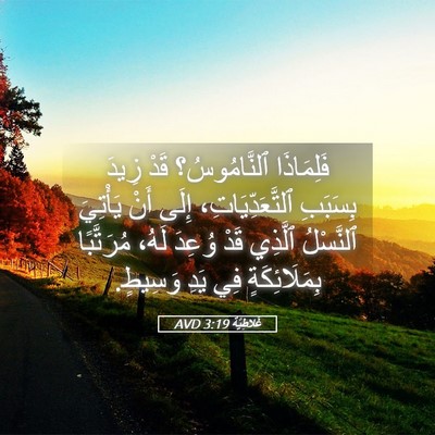 Picture 05 - غَلاطِيَّة 3:19 AVD - فَلِمَاذَا ٱلنَّامُوسُ؟ - Bible Verse Picture