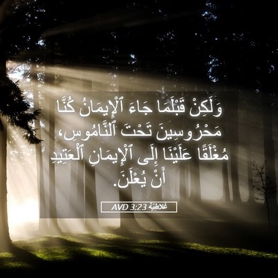 Picture 05 - غَلاطِيَّة 3:23 AVD - وَلَكِنْ قَبْلَمَا جَاءَ - Bible Verse Picture