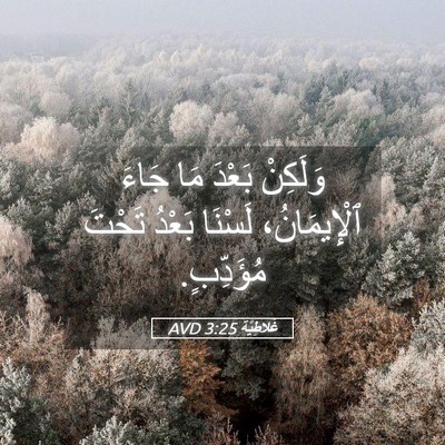Picture 05 - غَلاطِيَّة 3:25 AVD - وَلَكِنْ بَعْدَ مَا جَاءَ - Bible Verse Picture