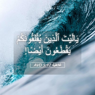 Picture 05 - غَلاطِيَّة 5:12 AVD - يَالَيْتَ ٱلَّذِينَ - Bible Verse Picture