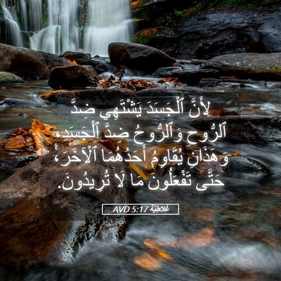 Picture 05 - غَلاطِيَّة 5:17 AVD - لِأَنَّ ٱلْجَسَدَ - Bible Verse Picture