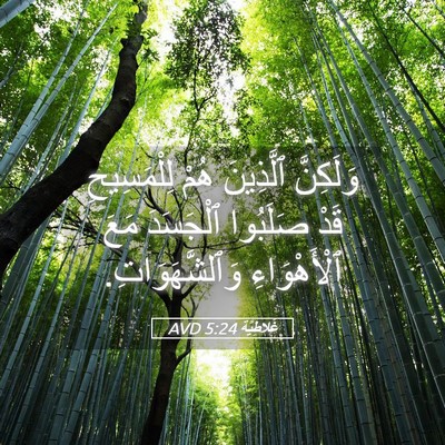 Picture 05 - غَلاطِيَّة 5:24 AVD - وَلَكِنَّ ٱلَّذِينَ هُمْ - Bible Verse Picture