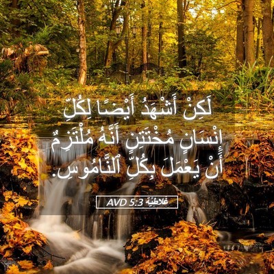 Picture 05 - غَلاطِيَّة 5:3 AVD - لَكِنْ أَشْهَدُ أَيْضًا - Bible Verse Picture