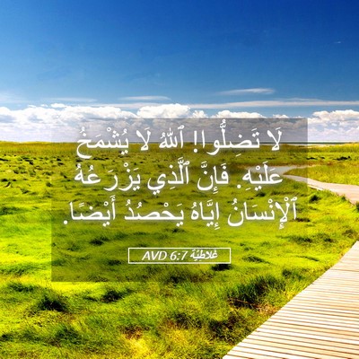Picture 05 - غَلاطِيَّة 6:7 AVD - لَا تَضِلُّوا! ٱللهُ لَا - Bible Verse Picture