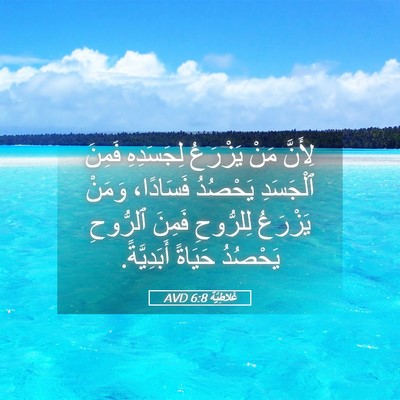 Picture 05 - غَلاطِيَّة 6:8 AVD - لِأَنَّ مَنْ يَزْرَعُ - Bible Verse Picture
