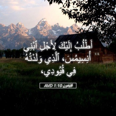 Picture 05 - فِلِيْمُون 1:10 AVD - أَطْلُبُ إِلَيْكَ - Bible Verse Picture