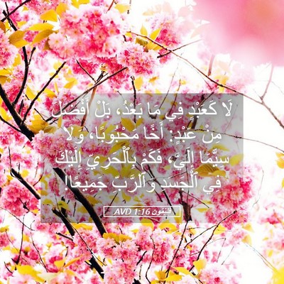 Picture 05 - فِلِيْمُون 1:16 AVD - لَا كَعَبْدٍ فِي مَا - Bible Verse Picture