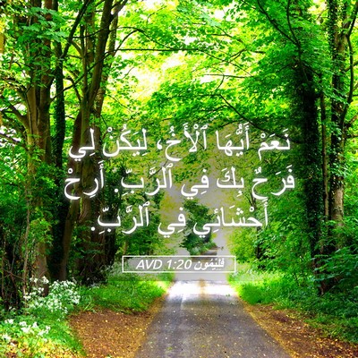Picture 05 - فِلِيْمُون 1:20 AVD - نَعَمْ أَيُّهَا ٱلْأَخُ، - Bible Verse Picture