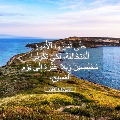Picture 05 - فِيلِبِّي 1:10 AVD - حَتَّى تُمَيِّزُوا - Bible Verse Picture