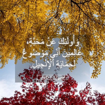 Picture 05 - فِيلِبِّي 1:17 AVD - وَأُولَئِكَ عَنْ - Bible Verse Picture