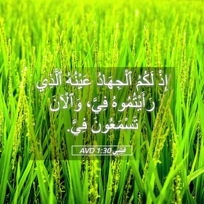 Picture 05 - فِيلِبِّي 1:30 AVD - إِذْ لَكُمُ ٱلْجِهَادُ - Bible Verse Picture