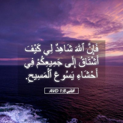 Picture 05 - فِيلِبِّي 1:8 AVD - فَإِنَّ ٱللهَ شَاهِدٌ لِي - Bible Verse Picture