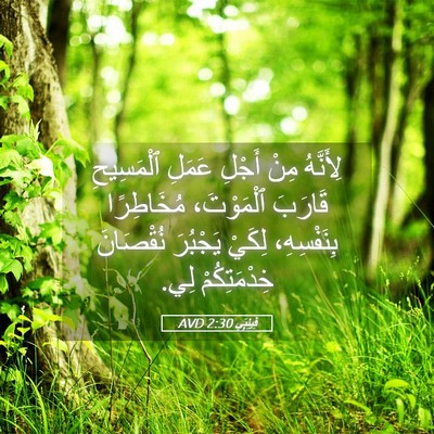 Picture 05 - فِيلِبِّي 2:30 AVD - لِأَنَّهُ مِنْ أَجْلِ - Bible Verse Picture