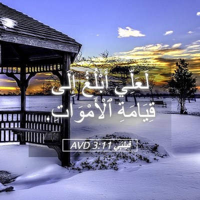 Picture 05 - فِيلِبِّي 3:11 AVD - لَعَلِّي أَبْلُغُ إِلَى - Bible Verse Picture