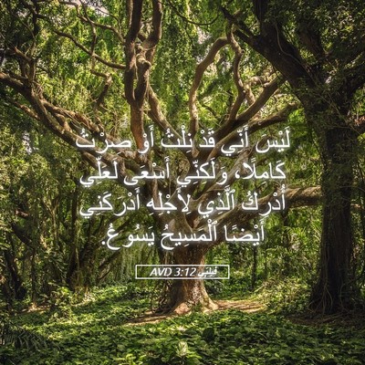 Picture 05 - فِيلِبِّي 3:12 AVD - لَيْسَ أَنِّي قَدْ نِلْتُ - Bible Verse Picture