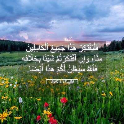 Picture 05 - فِيلِبِّي 3:15 AVD - فَلْيَفْتَكِرْ هَذَا - Bible Verse Picture