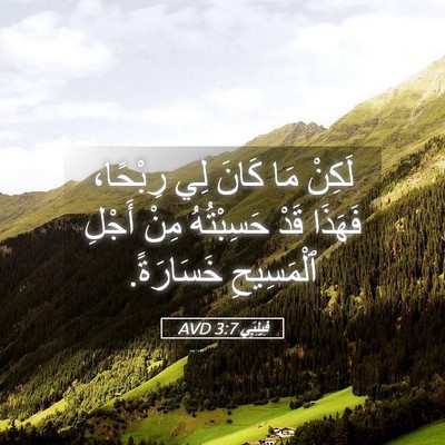 Picture 05 - فِيلِبِّي 3:7 AVD - لَكِنْ مَا كَانَ لِي - Bible Verse Picture