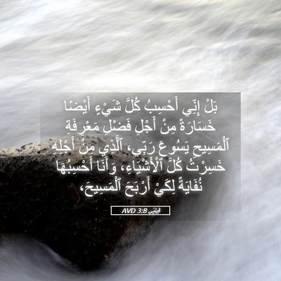 Picture 05 - فِيلِبِّي 3:8 AVD - بَلْ إِنِّي أَحْسِبُ كُلَّ - Bible Verse Picture