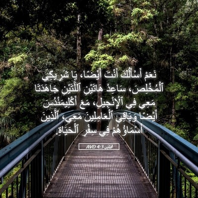 Picture 05 - فِيلِبِّي 4:3 AVD - نَعَمْ أَسْأَلُكَ أَنْتَ - Bible Verse Picture