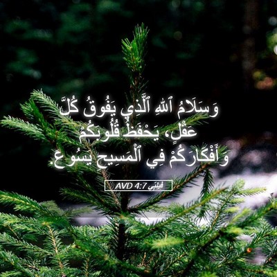 Picture 05 - فِيلِبِّي 4:7 AVD - وَسَلَامُ ٱللهِ ٱلَّذِي - Bible Verse Picture