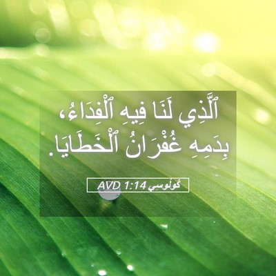 Picture 05 - كُولُوسِي 1:14 AVD - ٱلَّذِي لَنَا فِيهِ - Bible Verse Picture